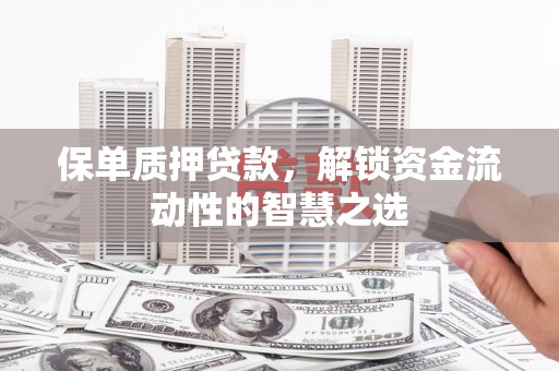 南宫保单质押贷款，解锁资金流动性的智慧之选