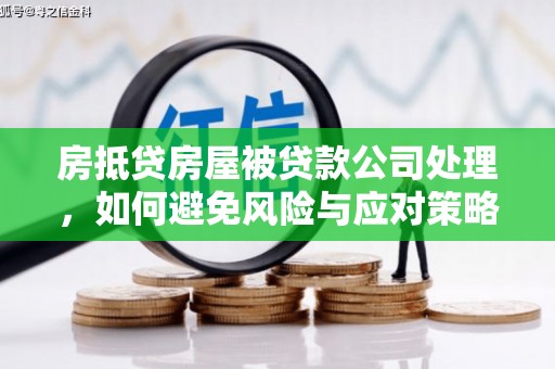 饶阳房抵贷房屋被贷款公司处理，如何避免风险与应对策略