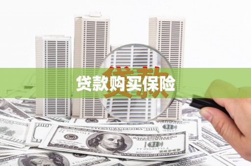 岚山贷款购买保险