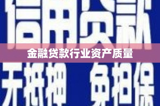 普定金融贷款行业资产质量