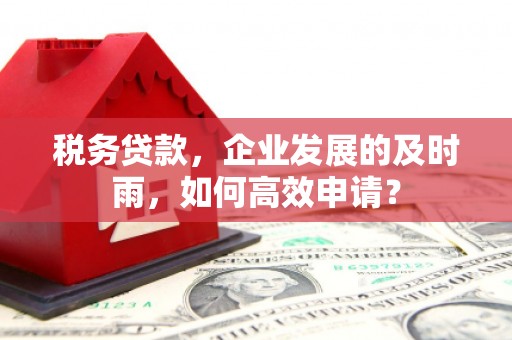 蜀山税务贷款，企业发展的及时雨，如何高效申请？