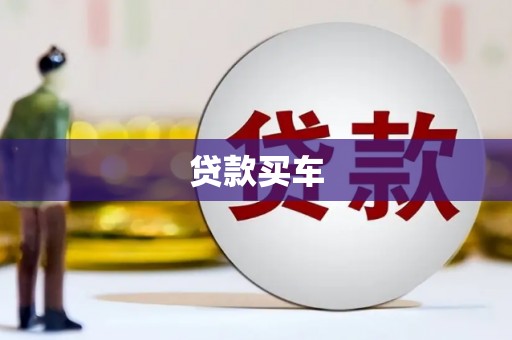 芳苑贷款买车