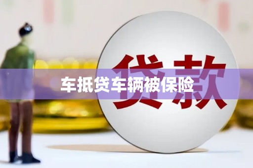 埇桥车抵贷车辆被保险