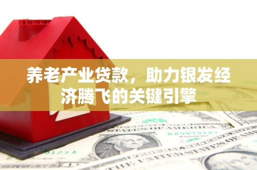 兴义养老产业贷款，助力银发经济腾飞的关键引擎
