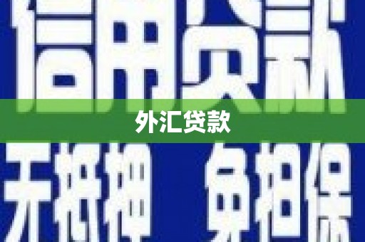 江海外汇贷款