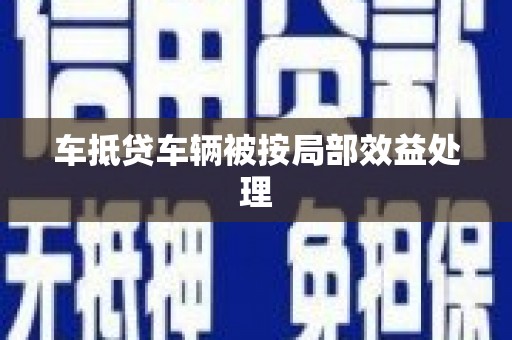 乐山车抵贷车辆被按局部效益处理