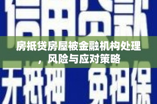 台西房抵贷房屋被金融机构处理，风险与应对策略