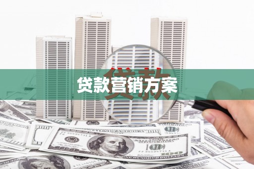 大东贷款营销方案