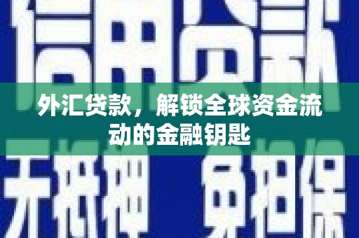 苍梧外汇贷款，解锁全球资金流动的金融钥匙