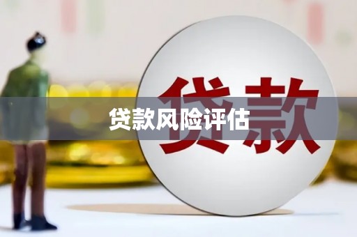 大东贷款风险评估
