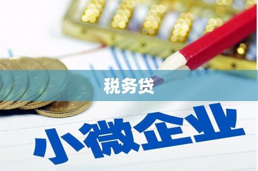 亚东税务贷