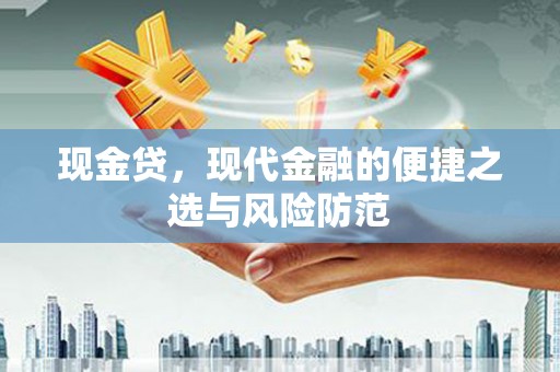 双河现金贷，现代金融的便捷之选与风险防范