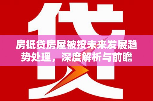 甲仙房抵贷房屋被按未来发展趋势处理，深度解析与前瞻