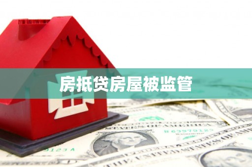 成武房抵贷房屋被监管
