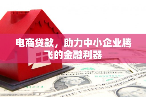府谷电商贷款，助力中小企业腾飞的金融利器