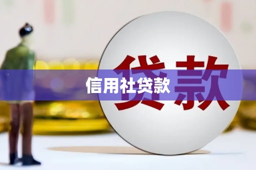芗城信用社贷款