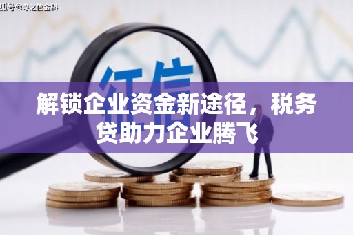 芗城解锁企业资金新途径，税务贷助力企业腾飞