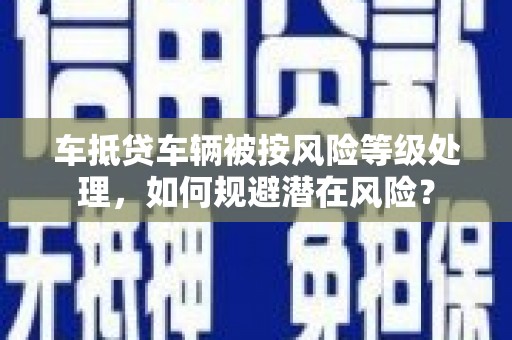 立山车抵贷车辆被按风险等级处理，如何规避潜在风险？