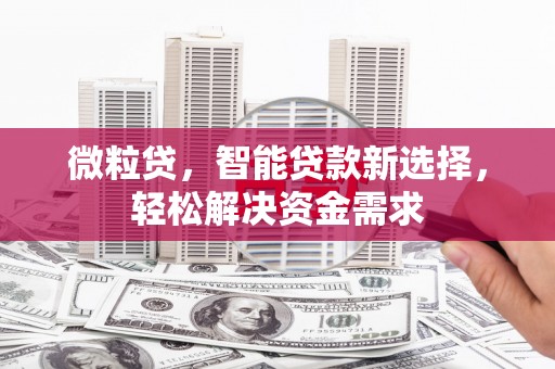 仑背微粒贷，智能贷款新选择，轻松解决资金需求