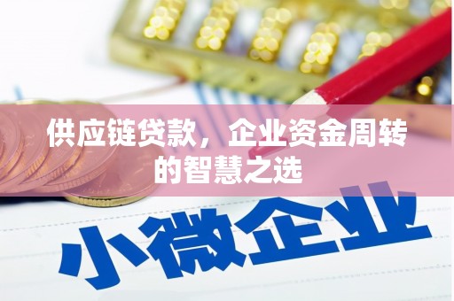 镇远供应链贷款，企业资金周转的智慧之选