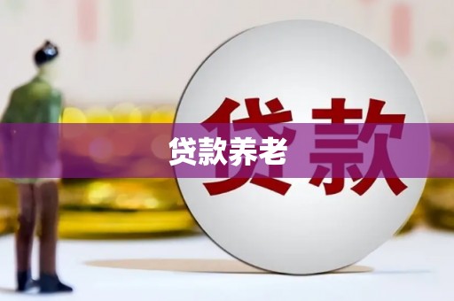 江陵贷款养老