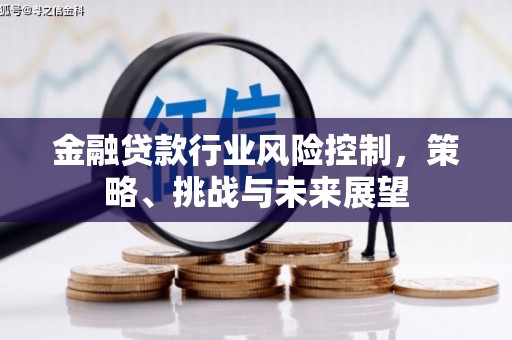 蒙阴金融贷款行业风险控制，策略、挑战与未来展望
