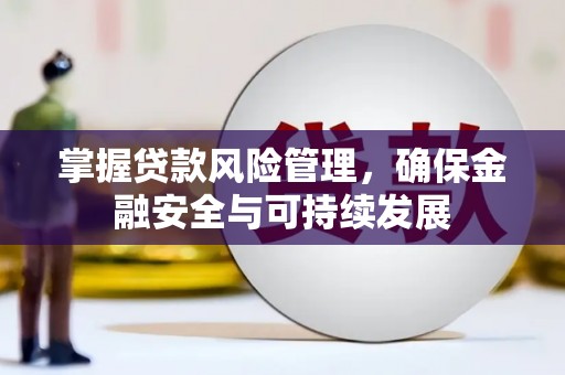 阆中掌握贷款风险管理，确保金融安全与可持续发展