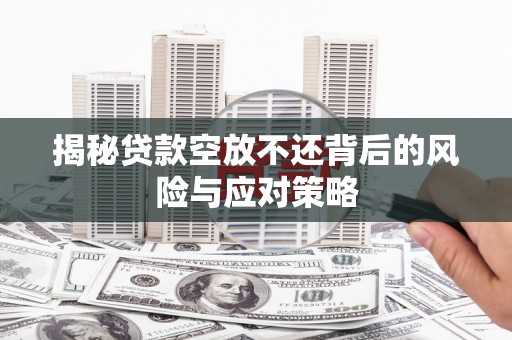 太湖揭秘贷款空放不还背后的风险与应对策略