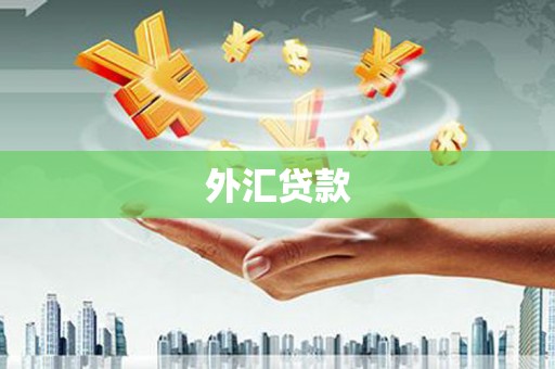 太湖外汇贷款