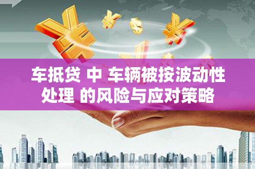 宁安车抵贷 中 车辆被按波动性处理 的风险与应对策略