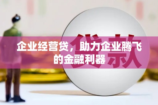 黄南企业经营贷，助力企业腾飞的金融利器