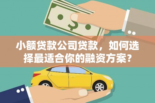 鸠江小额贷款公司贷款，如何选择最适合你的融资方案？
