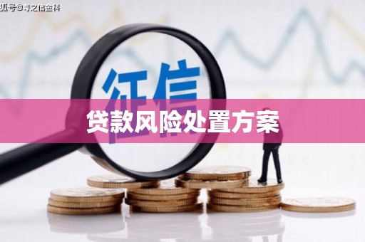 安定贷款风险处置方案