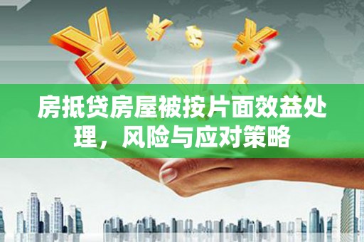 赤水房抵贷房屋被按片面效益处理，风险与应对策略