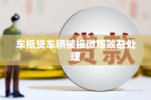 望江车抵贷车辆被按微观效益处理