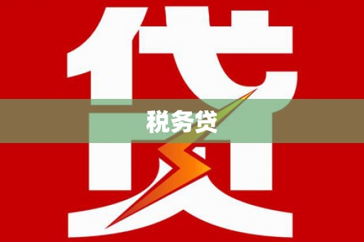 甘孜税务贷