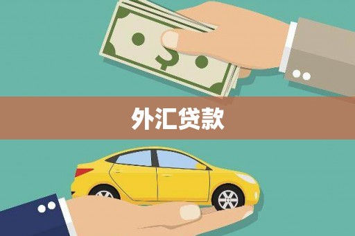 甘孜外汇贷款