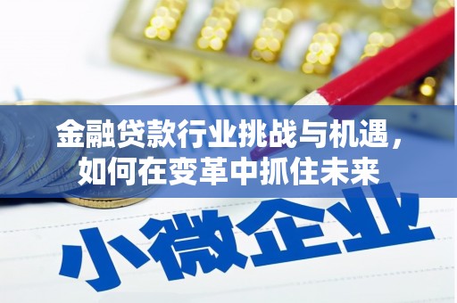蒸湘金融贷款行业挑战与机遇，如何在变革中抓住未来