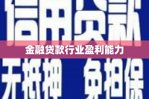 兴宁金融贷款行业盈利能力