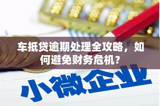 坪林车抵贷逾期处理全攻略，如何避免财务危机？