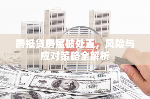 龙湖房抵贷房屋被处置，风险与应对策略全解析
