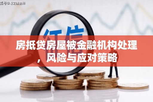 龙湖房抵贷房屋被金融机构处理，风险与应对策略