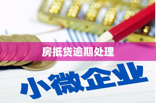 新民房抵贷逾期处理