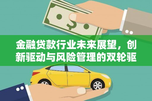 克孜勒苏柯尔克孜金融贷款行业未来展望，创新驱动与风险管理的双轮驱动