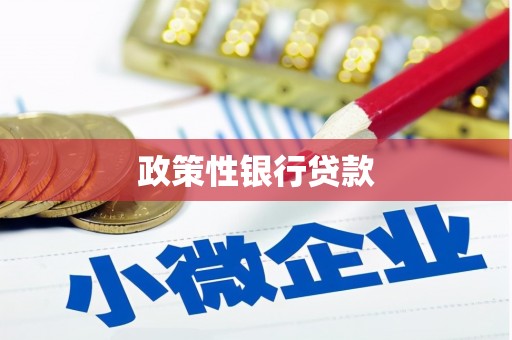 洮南政策性银行贷款