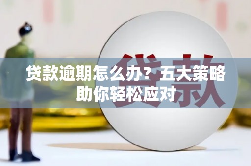 沙依巴克贷款逾期怎么办？五大策略助你轻松应对