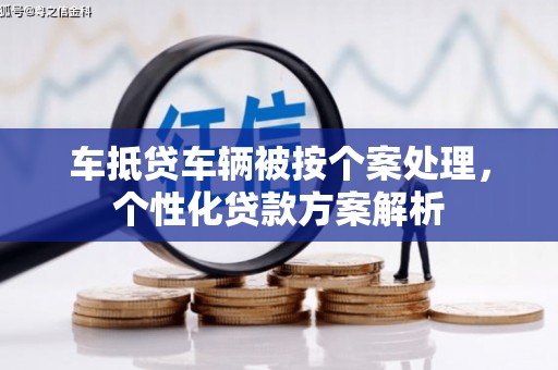 肇州车抵贷车辆被按个案处理，个性化贷款方案解析