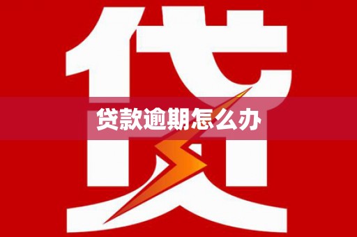 城固贷款逾期怎么办