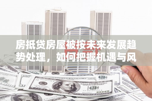 乌达房抵贷房屋被按未来发展趋势处理，如何把握机遇与风险？