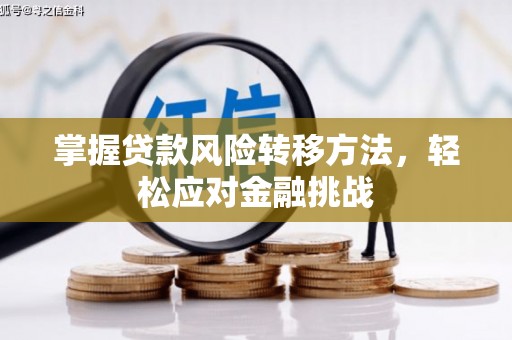含山掌握贷款风险转移方法，轻松应对金融挑战